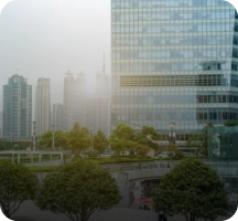 Commercial Trade License