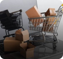 eCommerce Trade License