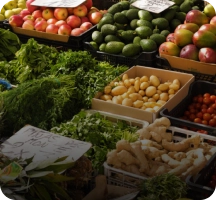 Grocery Trade License